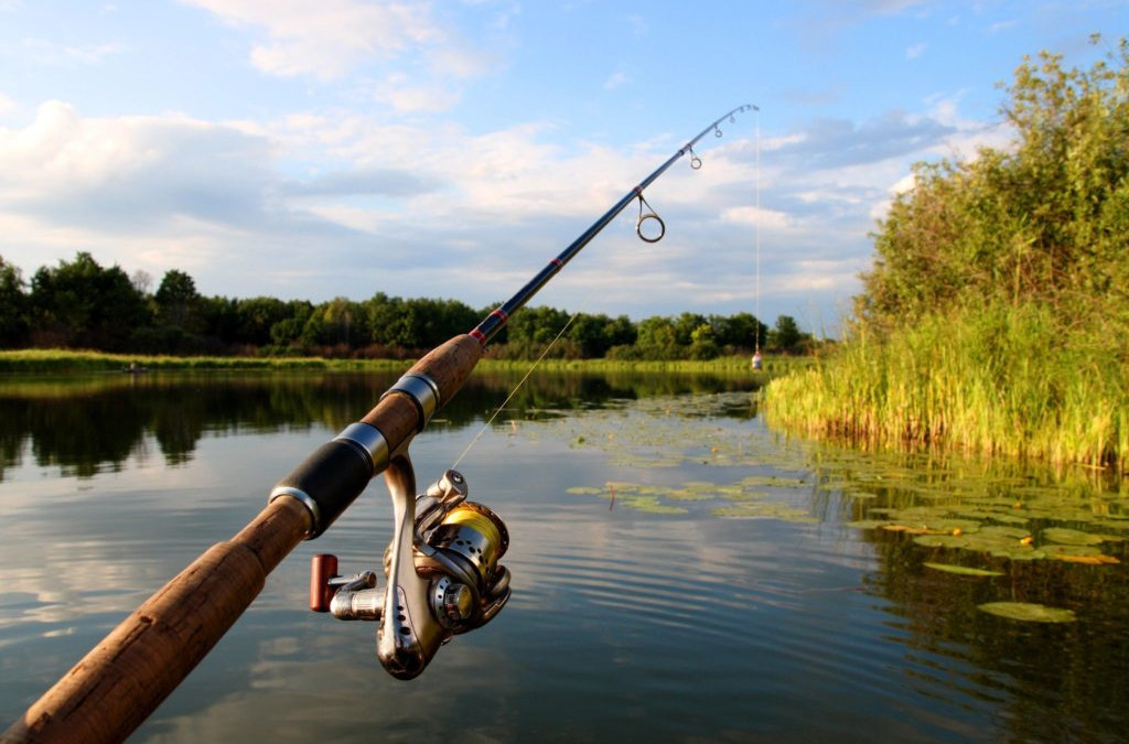 Fishing on a Driftless Summer Day