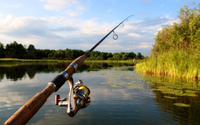 Fishing on a Driftless Summer Day