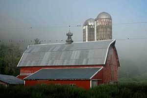 barn in fog in the driftless