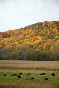 Kickapoo Valley in the fall