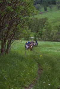 horseback riding in the driftless