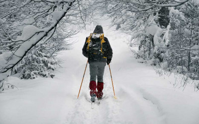 Winter in the Driftless