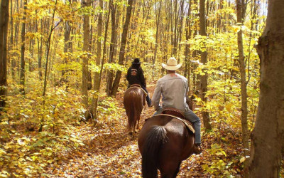 Enjoying the Nature of the Driftless