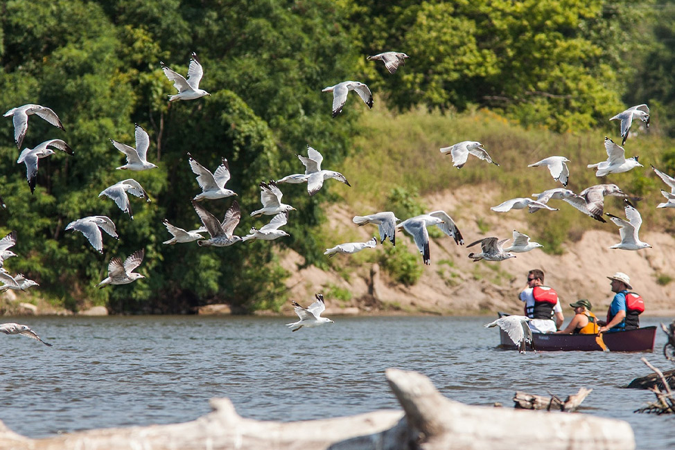 canoeing the mississippi river