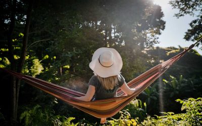 Picnicking In The Driftless Region’s Parks