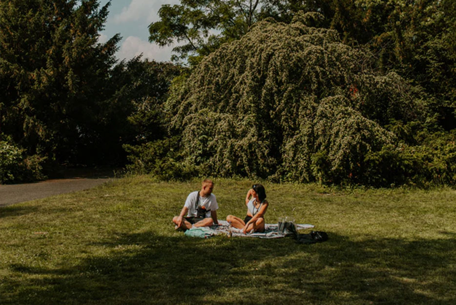 couple picnicking