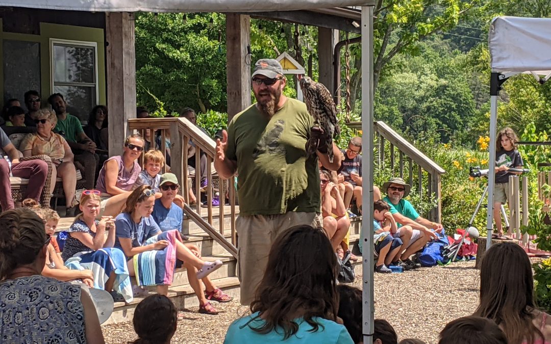 Birds of Prey Day – Second Nature at Reads Creek