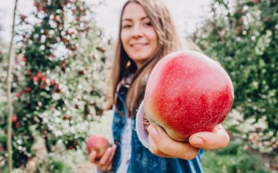 Driftless Wisconsin Apple Orchards Itinerary