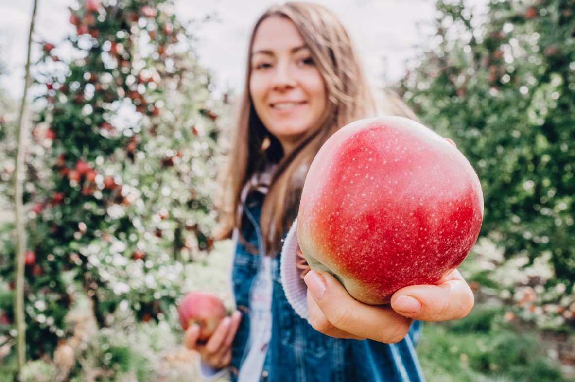 Driftless Apple