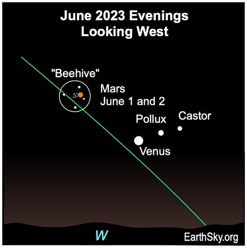 Early June Venus and Mars