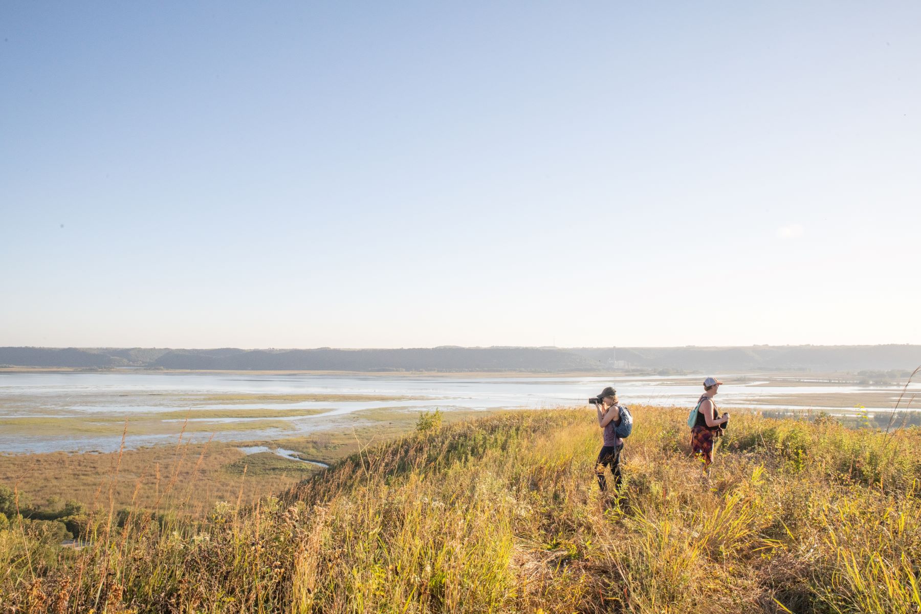 Birding along the Mississippi River