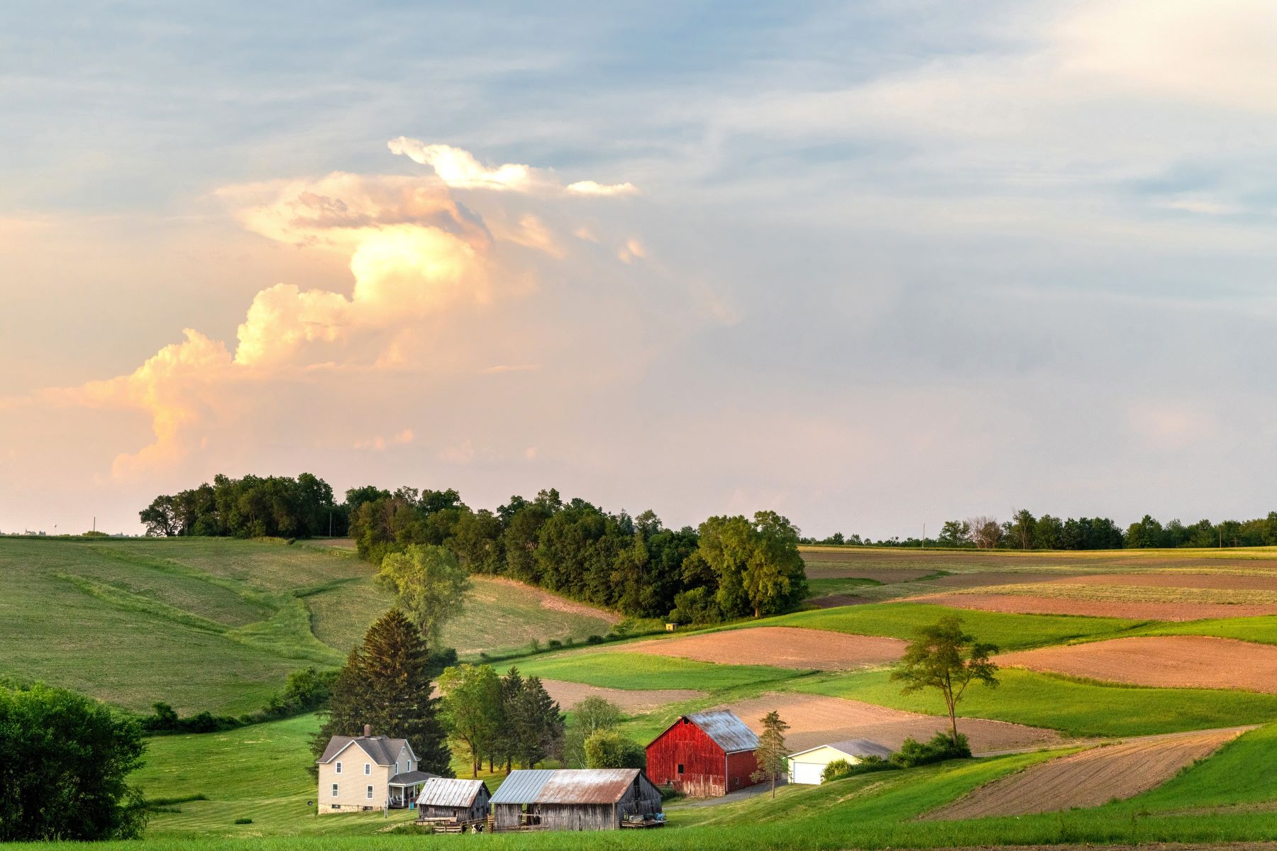 farm land