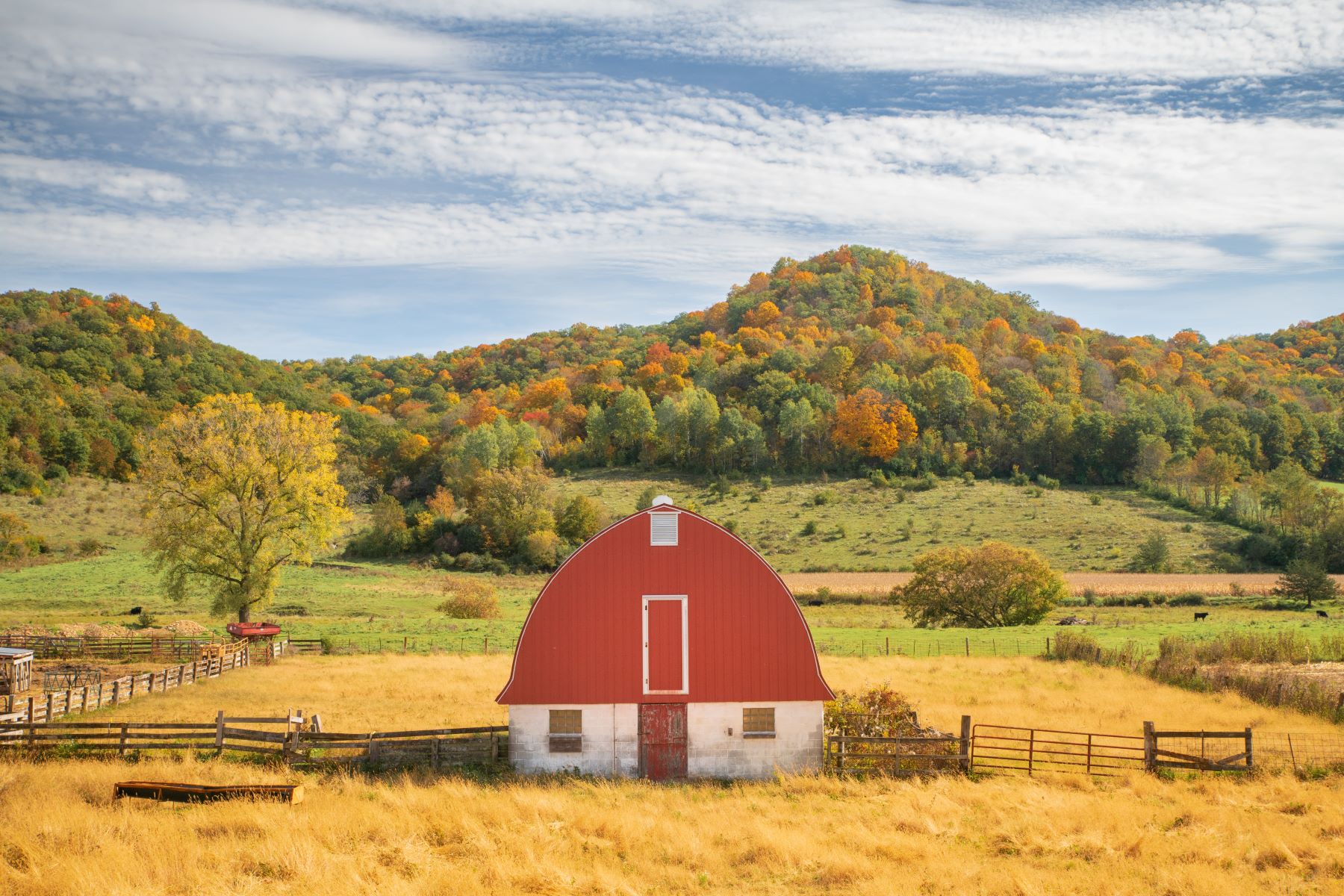 Red and white barn