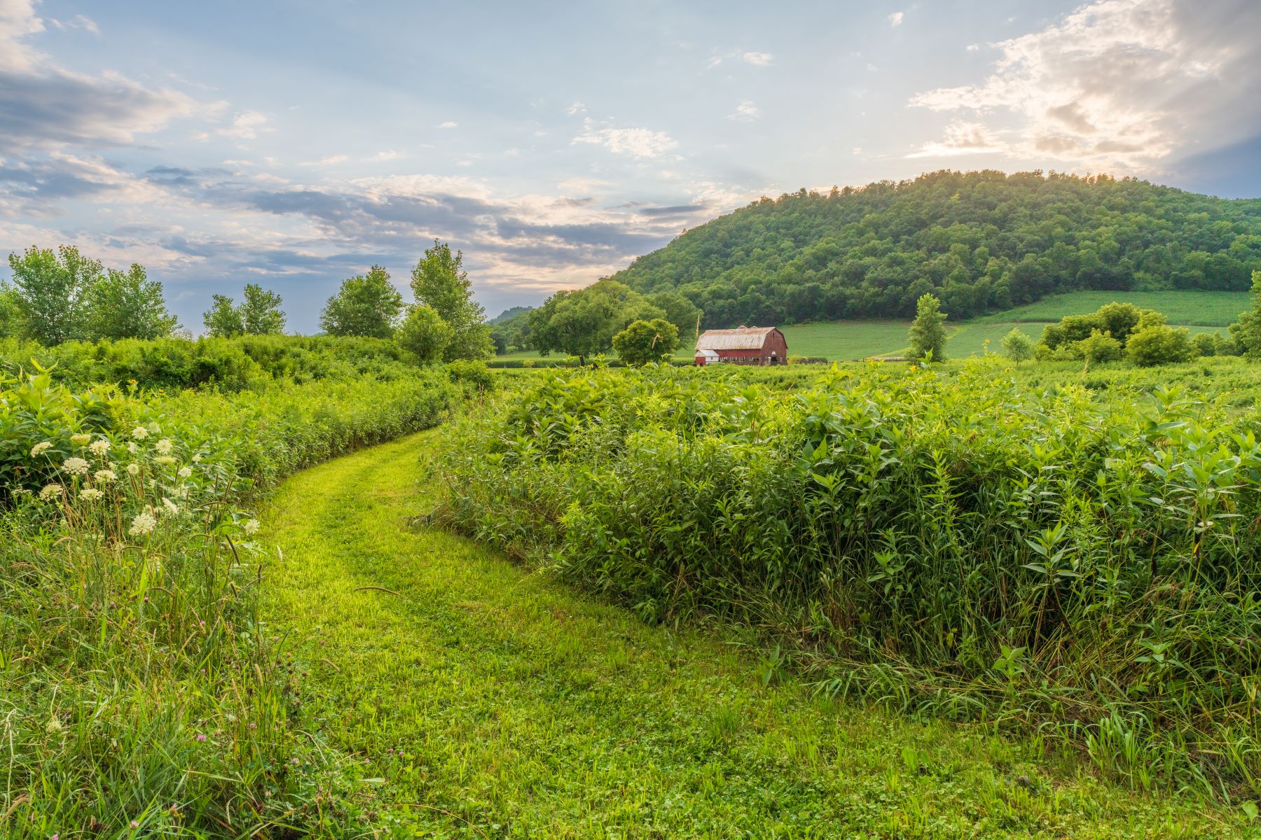 A red barn in the Driftless