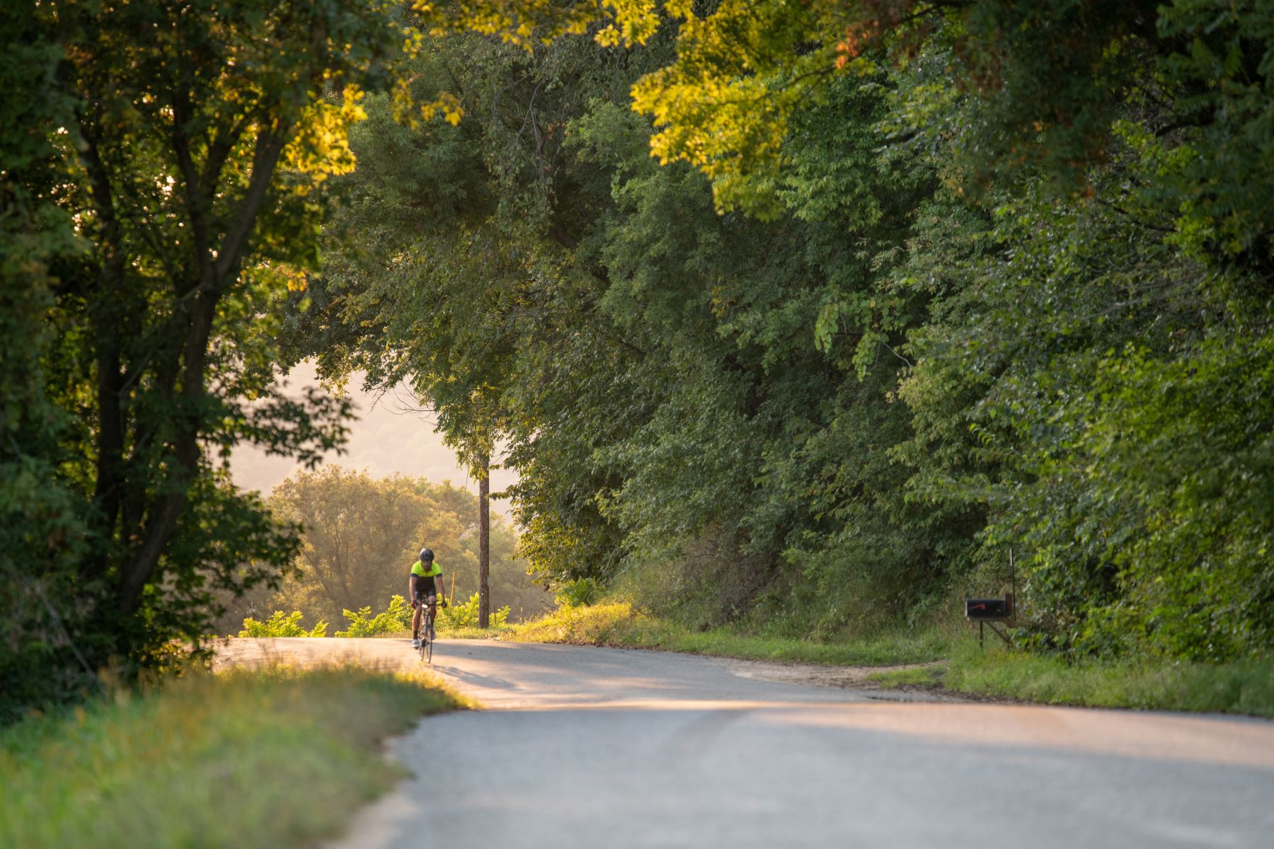 Road biking on a country road