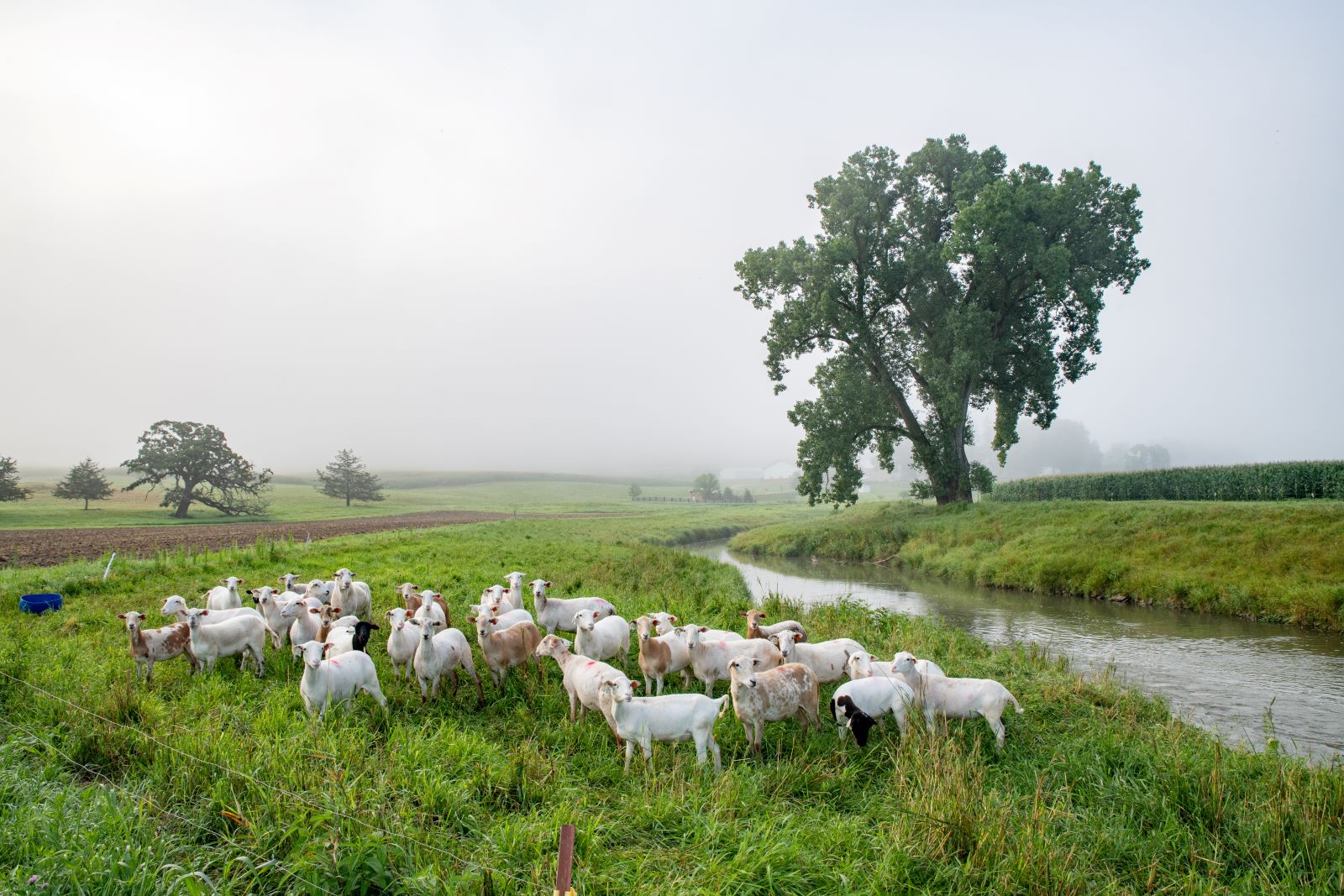 Farming in the Driftless