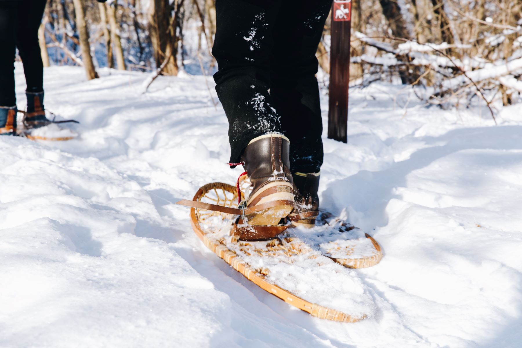 snowshoeing