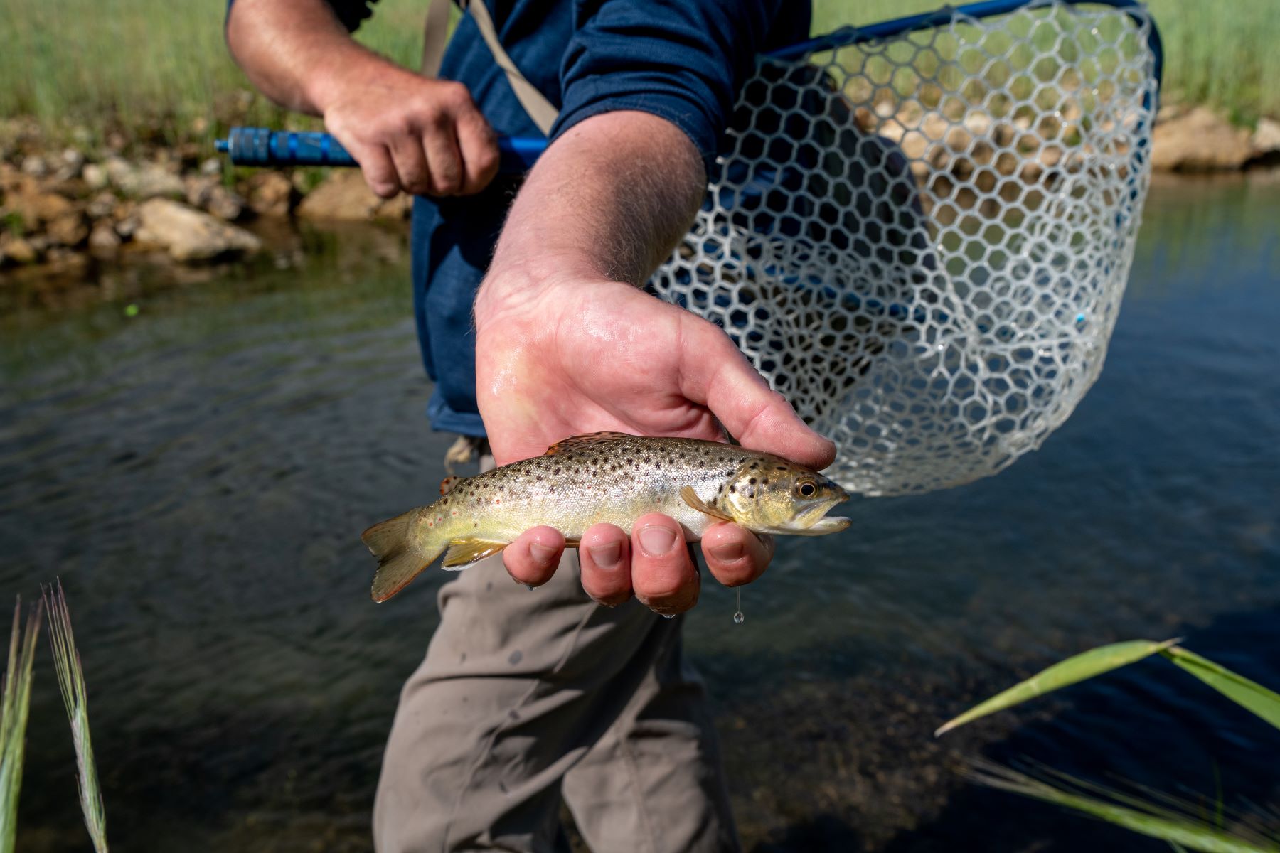 catching trout