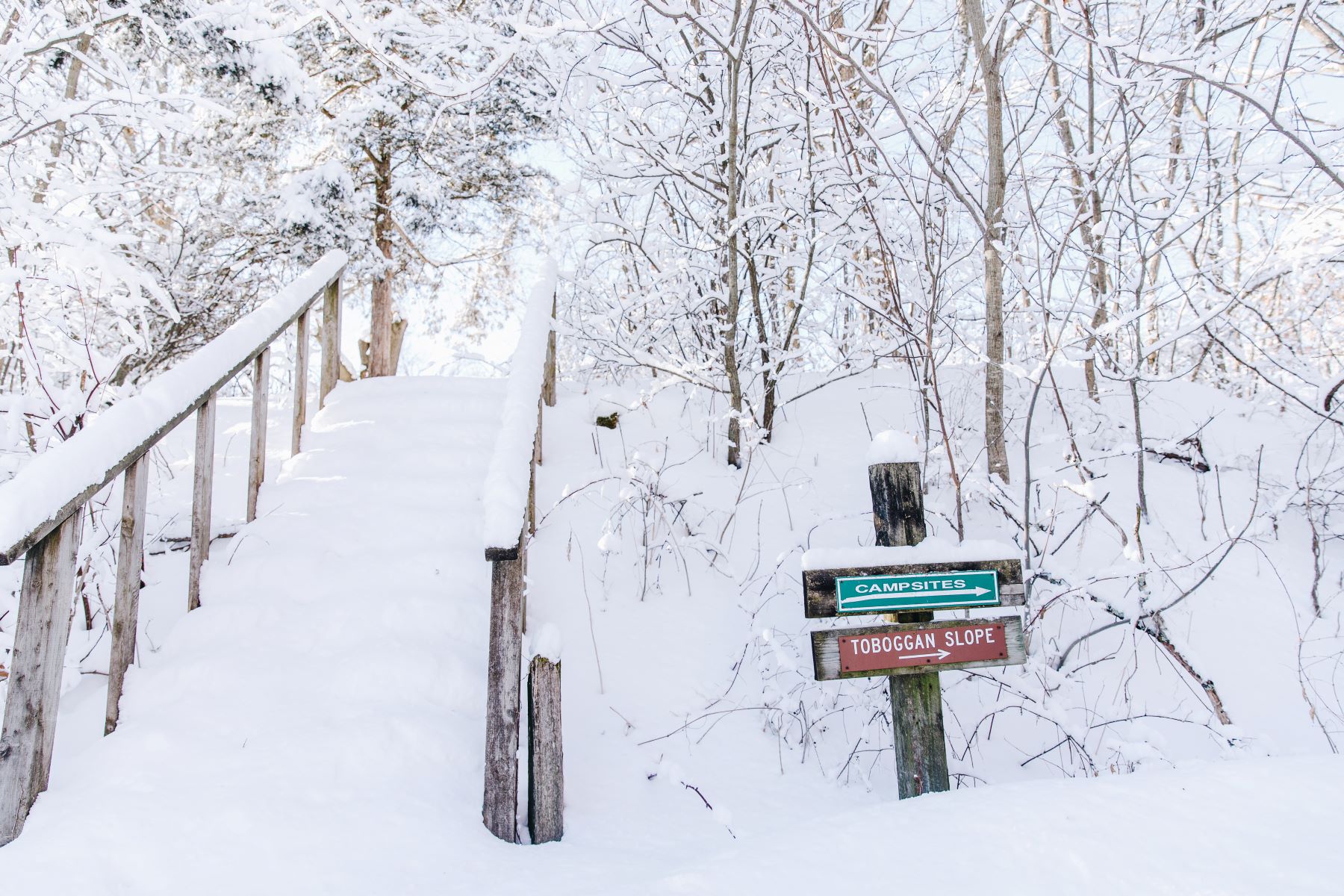 A park in winter