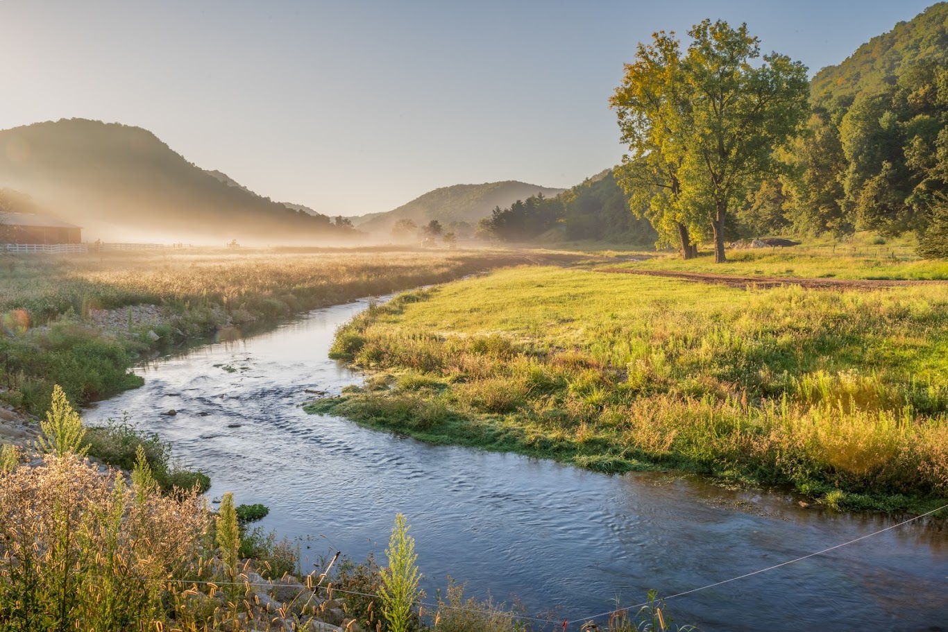 A trout stream through a farm