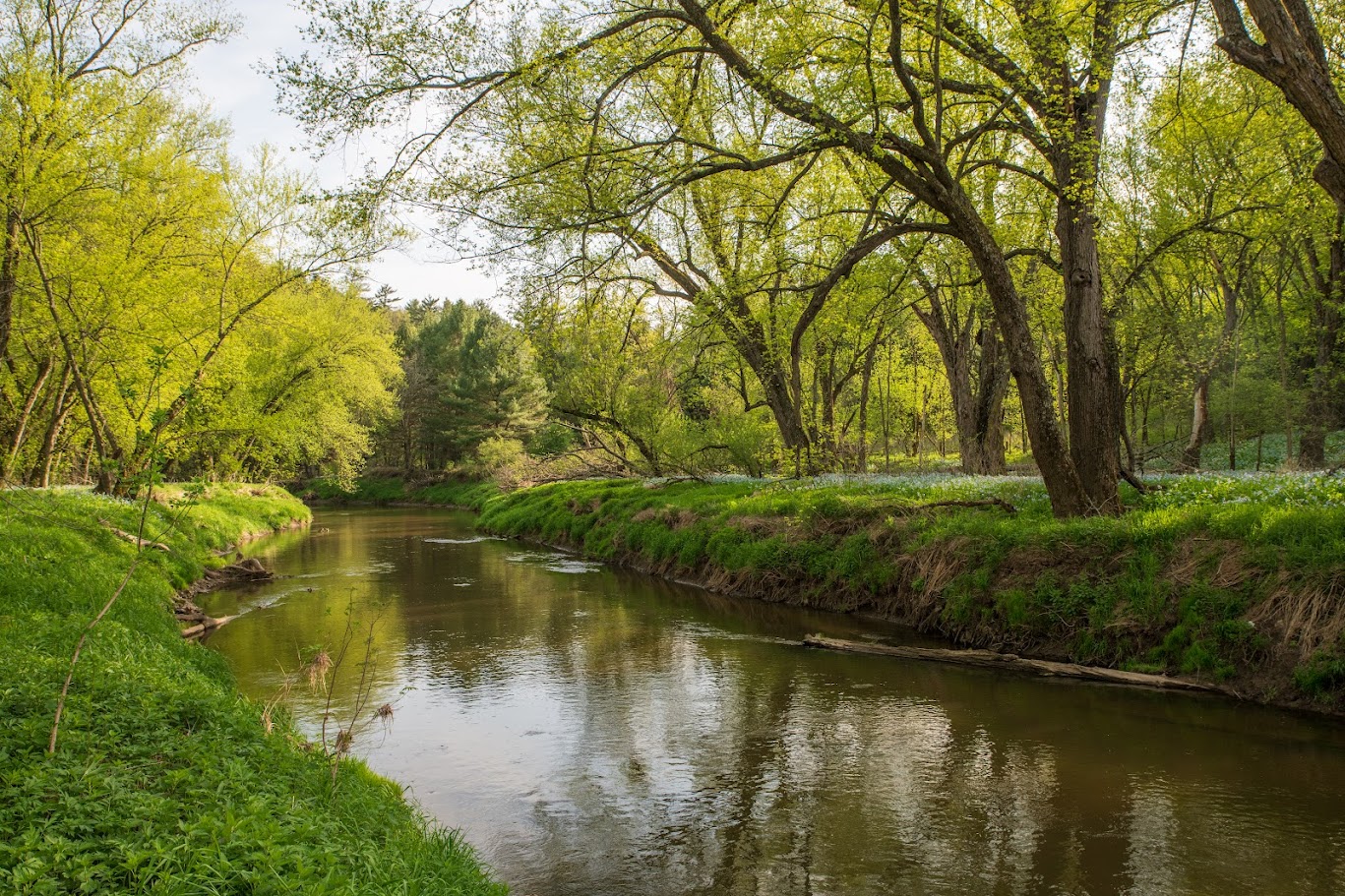 driftless river
