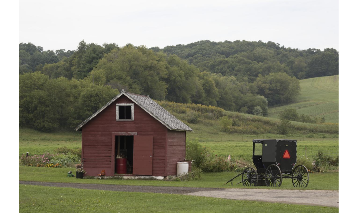 Am amish buggy on a farm