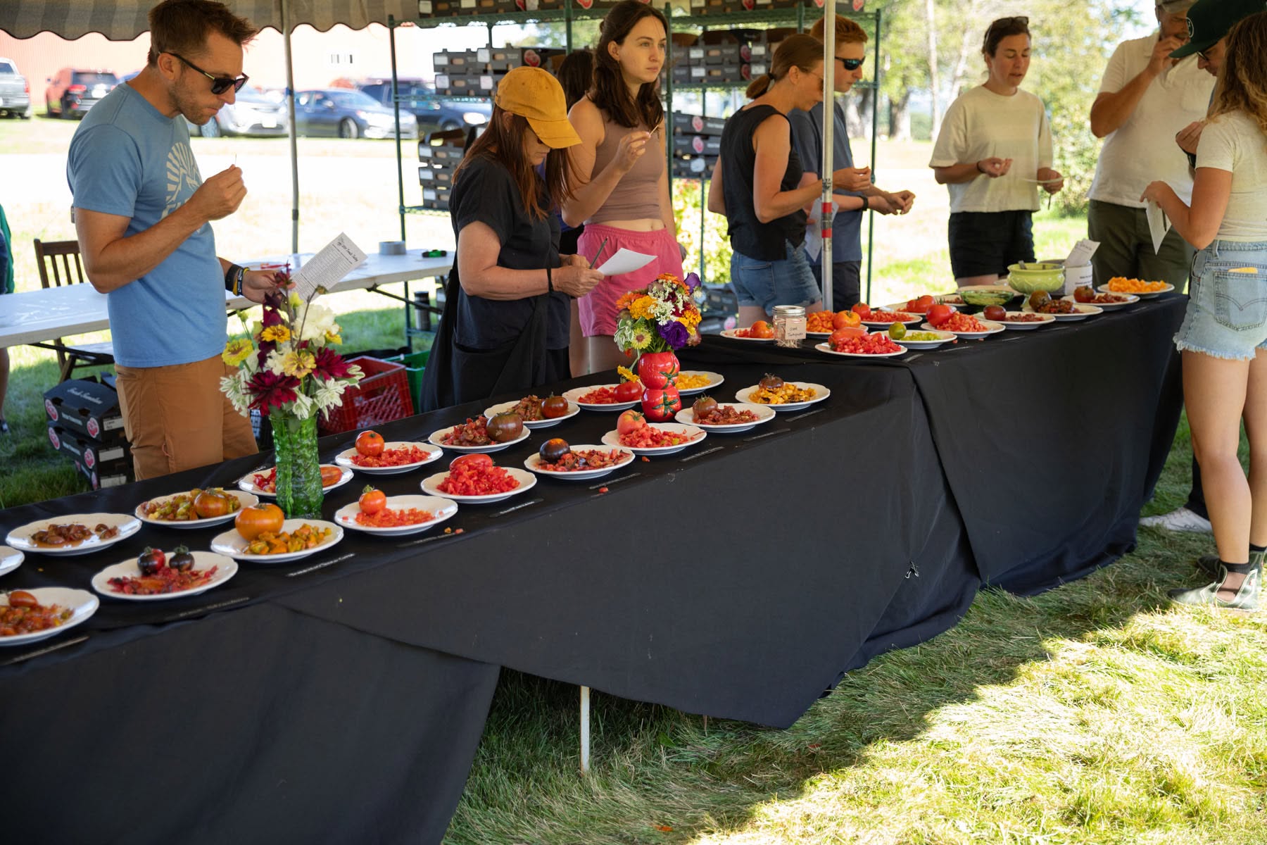 People try different tomatoes at deep rooted
