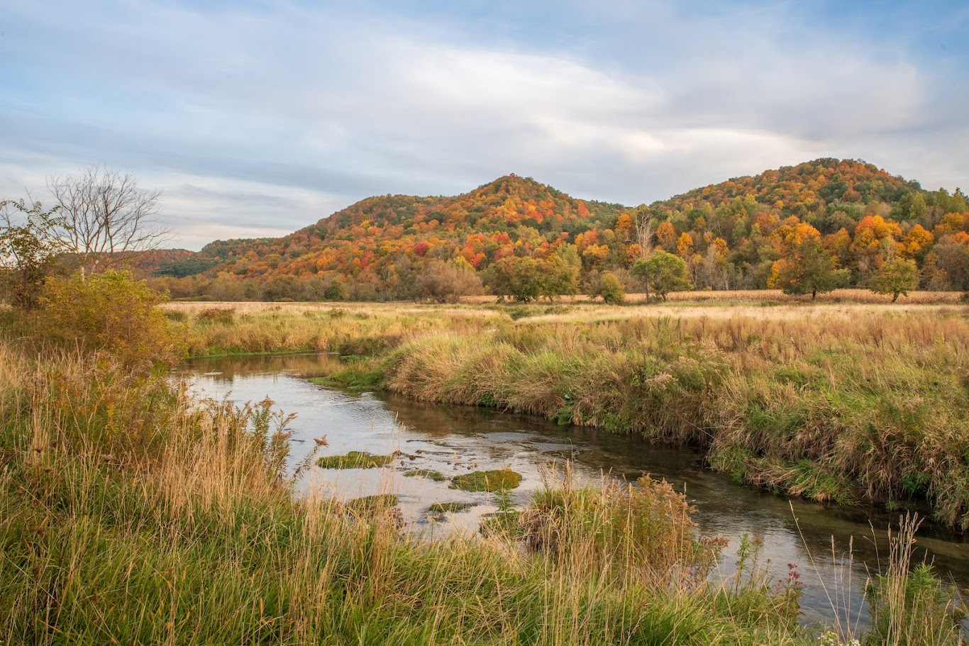 fall color hills