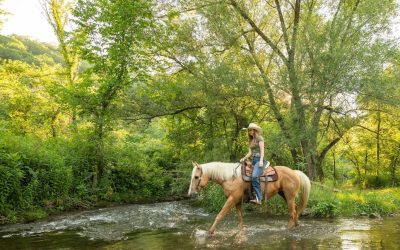 Enjoying the Nature of the Driftless