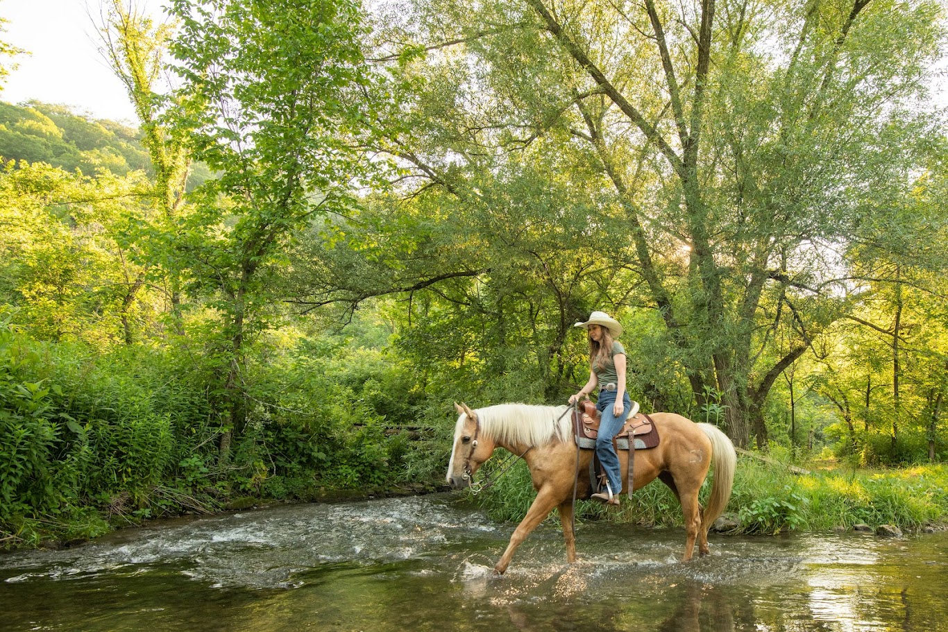 horseback riding A woman and a horse cross a river