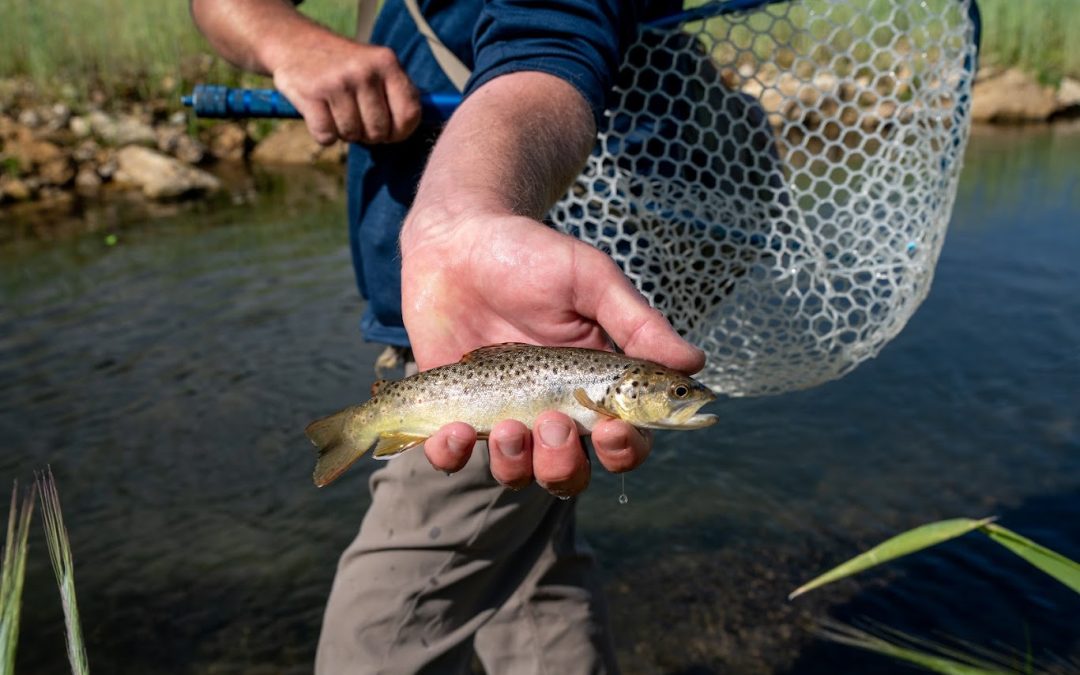 Gone Fishing in Driftless Wisconsin