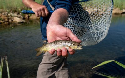 Gone Fishing in Driftless Wisconsin