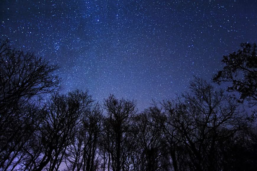wild cat at night Starry skies at Wildcat Mountain